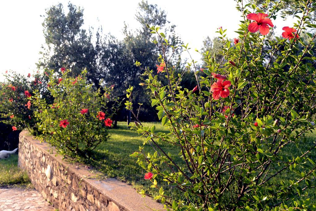 Vakantieboerderij Le Carolee Pianopoli